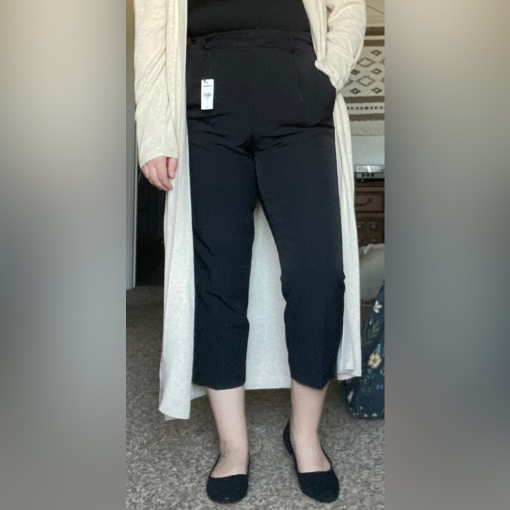 Express Super High Waisted Pleated Ankle Pant Size 10 Short Lightly Worn